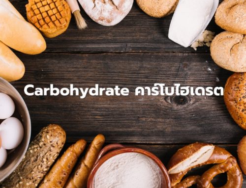Carbohydrate คาร์โบไฮเดรต